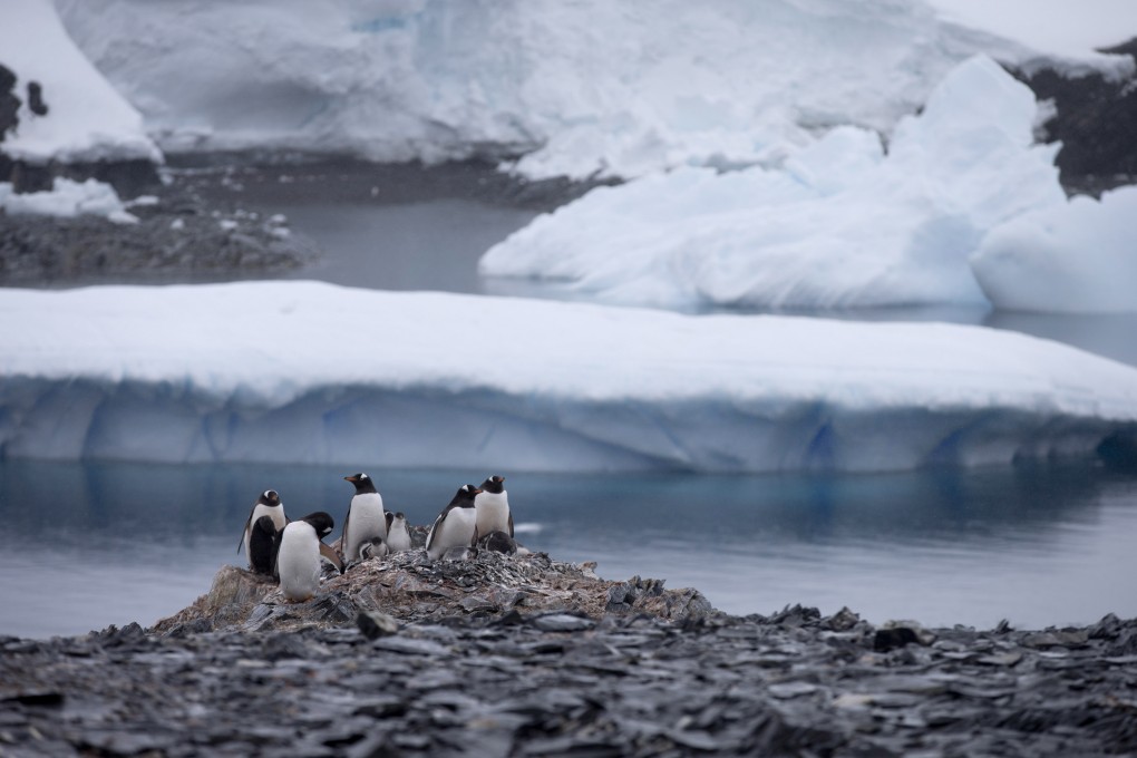 Chinese researchers estimate that Antarctica is losing as much as 755 gigatonnes of ice every year. Photo: AP