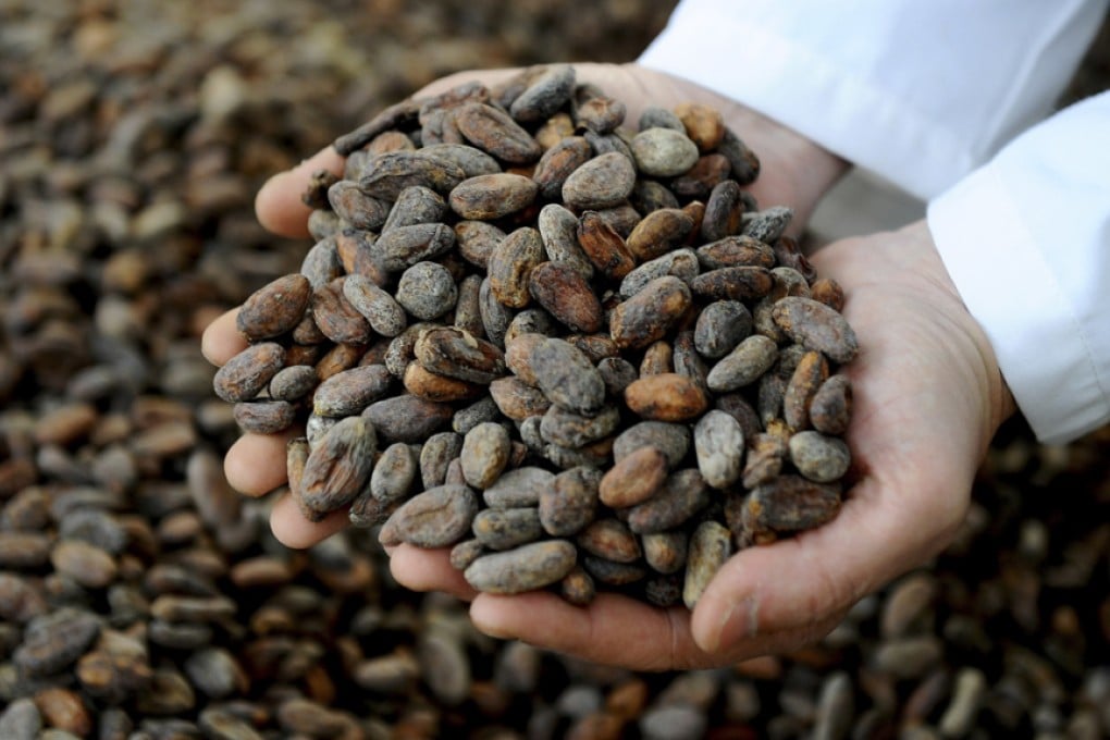 Organic cocoa beans are sorted at the Pacari factory in Quito, Ecuador. Photos: AFP; Kate Whitehead