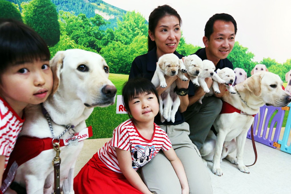 Labradors Yoyo (left) and Billy (right) pose with their puppies and Yoyo's host family (from left) Kely, Ellie, Edith and Kelvin. Photo: Nora Tam