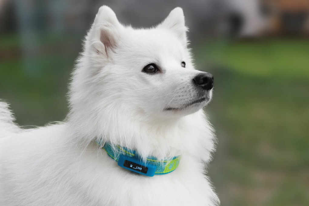 Tractive MOTION (above) is suitable for both dogs and cats, and can monitor activity in a range of environments, while Petkit (below) measures a dog's level of happiness against the rest of the user population. Both devices are lightweight, are attached to a pet's collar and can transfer the data collected to a smartphone.