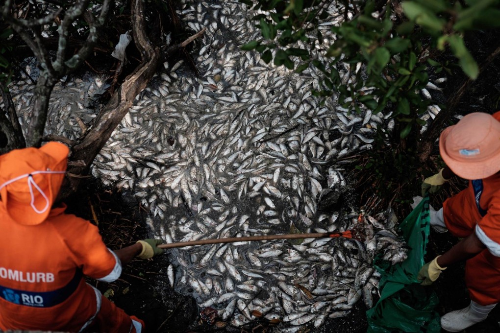 Workers of Rio de Janeiro's Comlurb waste company remove dead fish from the lake.Photo: AFP