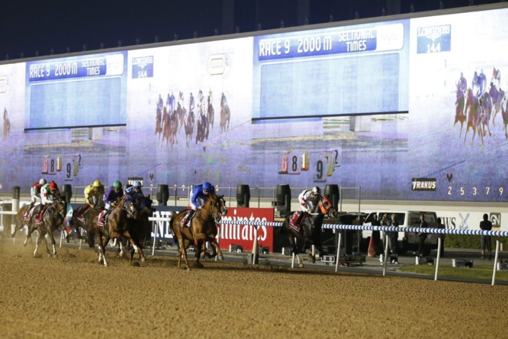 The Dubai World Cup meeting attracts many of the world's leading racehorses. Photo: EPA