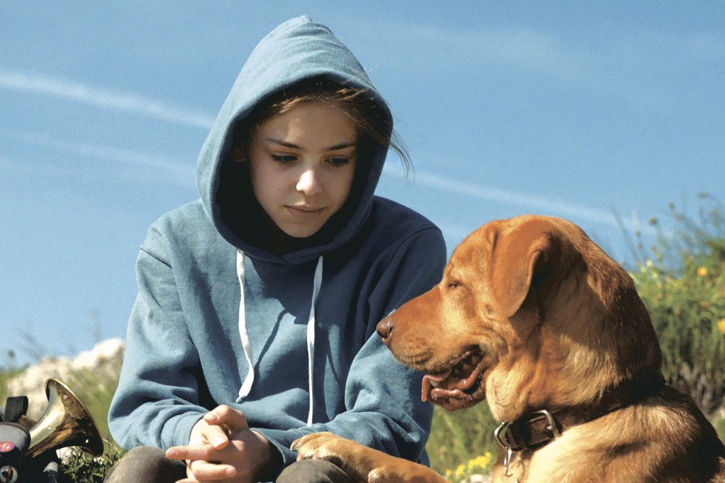 Zsofia Psotta and Bodie, the stars of White God. Photos: The Washington Post, Associated Press