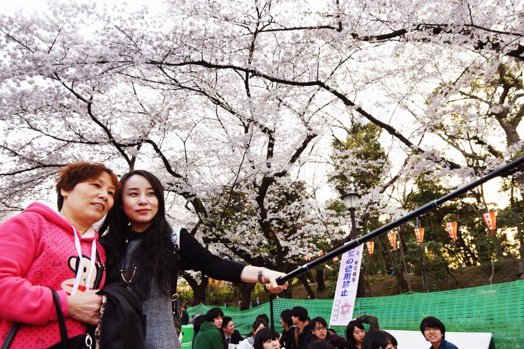 Japanese consulate officials in Shanghai issued a record number of visas in March to mainland travellers wishing to visit Japan to see cherry blossoms in bloom in April. Photo: Kyodo