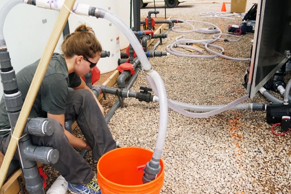 Water is collected from the desalination system that runs on solar energy. Photo: USAID