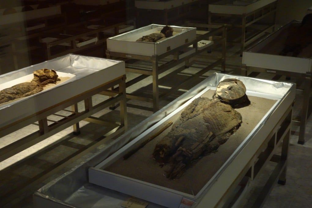 Chinchorro mummies, first discovered 100 years ago, are displayed at the University of Tarapaca's San Miguel de Azapa museum.Photo: TNS
