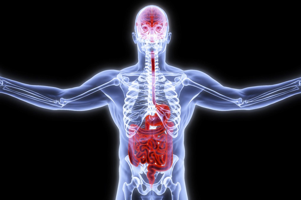 How a pill might one day reduce our cravings for sweet and fatty foods