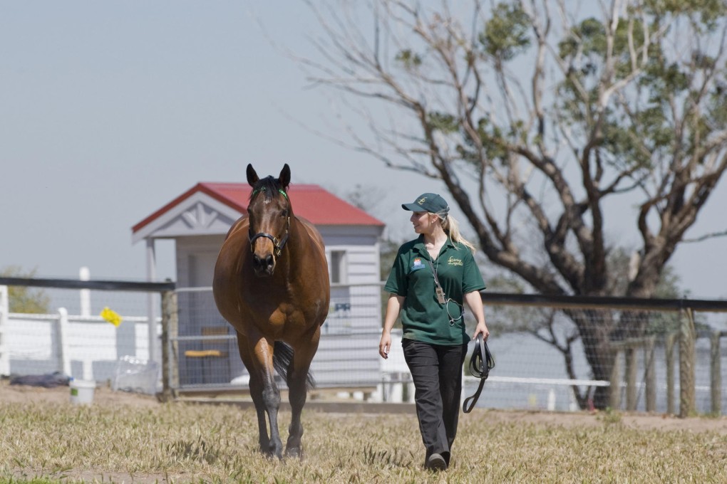 Archie da Silva's horse Silent Witness retired to Australia.