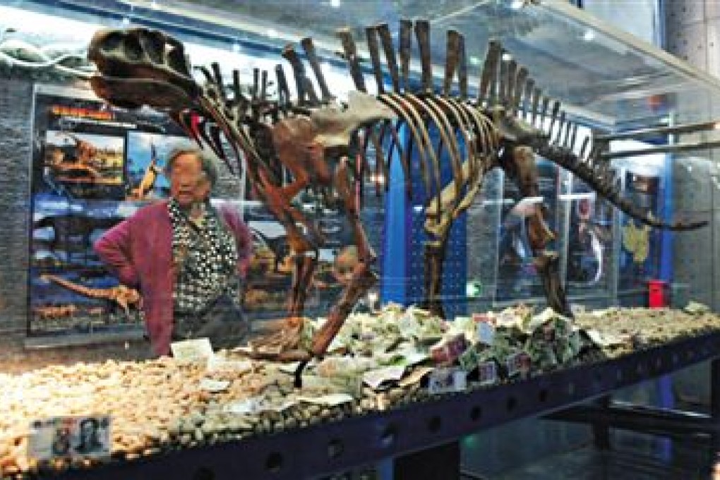 The dinosaur display, with cash, at the Beijing Museum of Natural History. Photo: SCMP Pictures