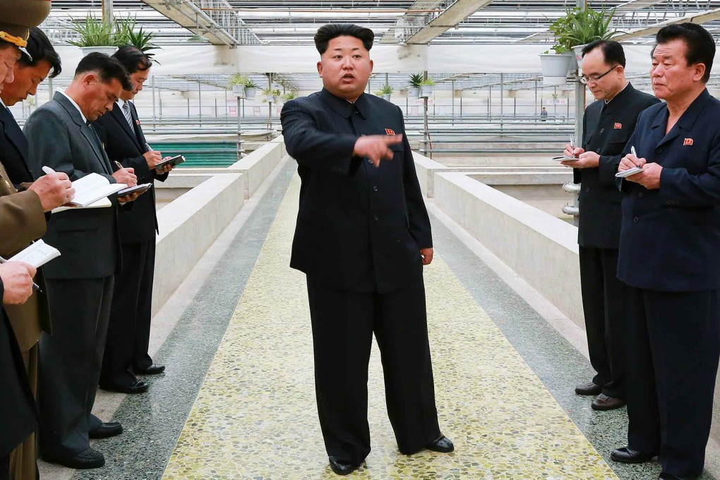 North Korean leader Kim Jong-un visits a terrapin farm. Photo: EPA