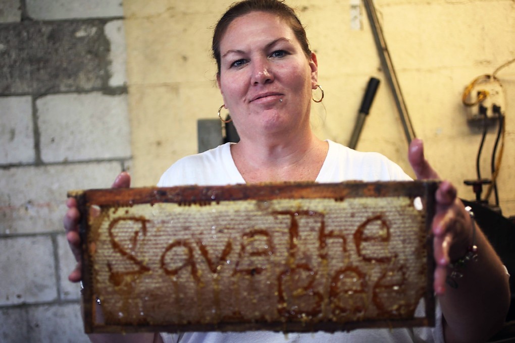 Kimberly Gentzel, co-owner of J & P Apiary and Gentzel's Bees, Honey and Pollination Company, poses with a message she wrote in a honeycomb, reading" save the bee", in Homestead, Florida. Photo: AFP