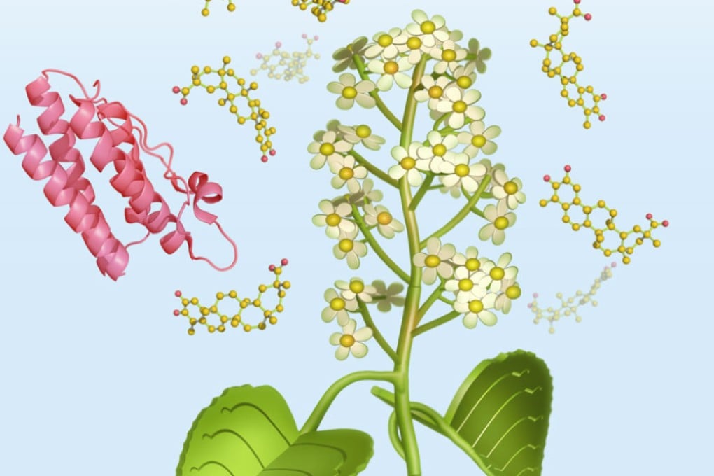 An artist's depiction of the thunder god vine and leptin molecule. Credit: Eric Smith
