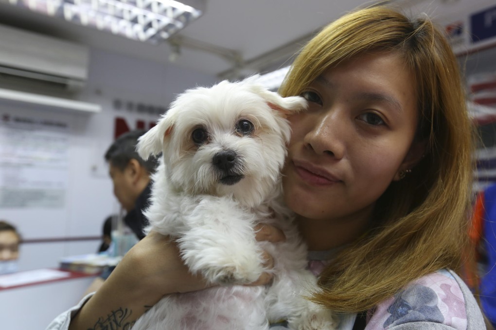 Lam Sze-ting with her Maltese, Nana. Photos: Edmond So, Jonathan Wong, K.Y. Cheng