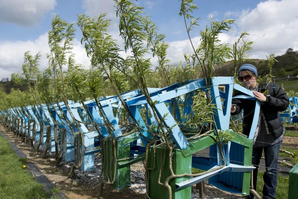 Alice Munro prunes branches to grow on inverted frames to produce chairs  and other pieces of furniture at Full Grown's plantation site near Wirksworth, central England. Photos: AFP