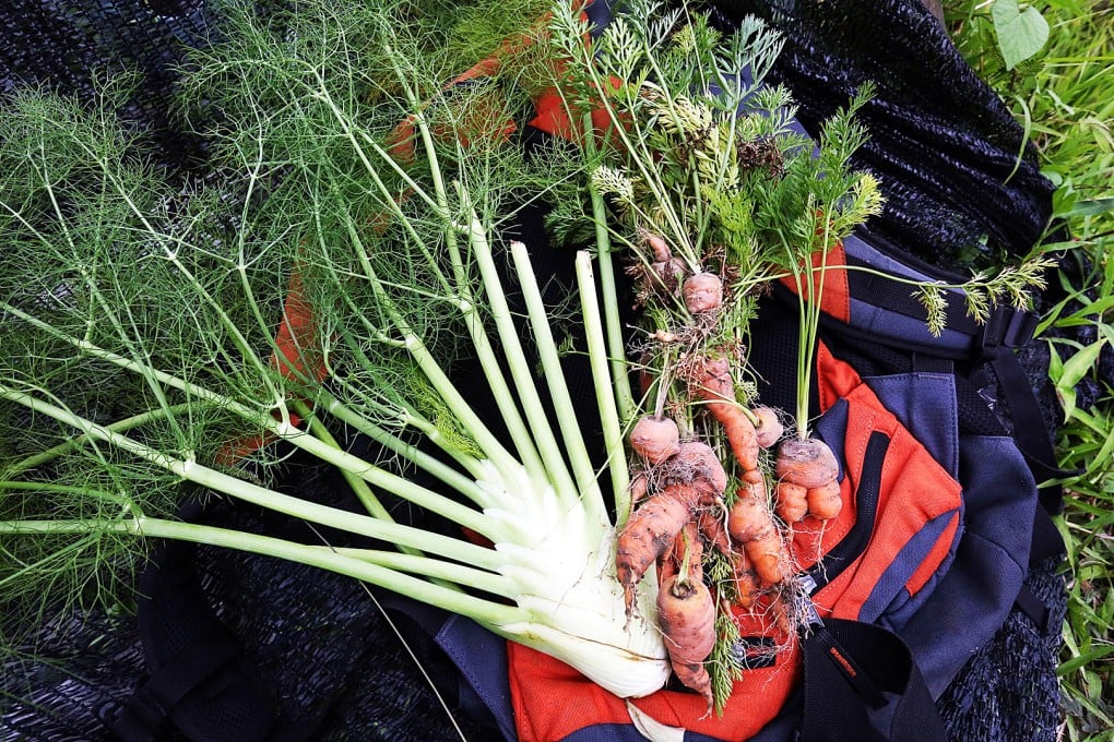 Five Hong Kong restaurants that grow their own produce