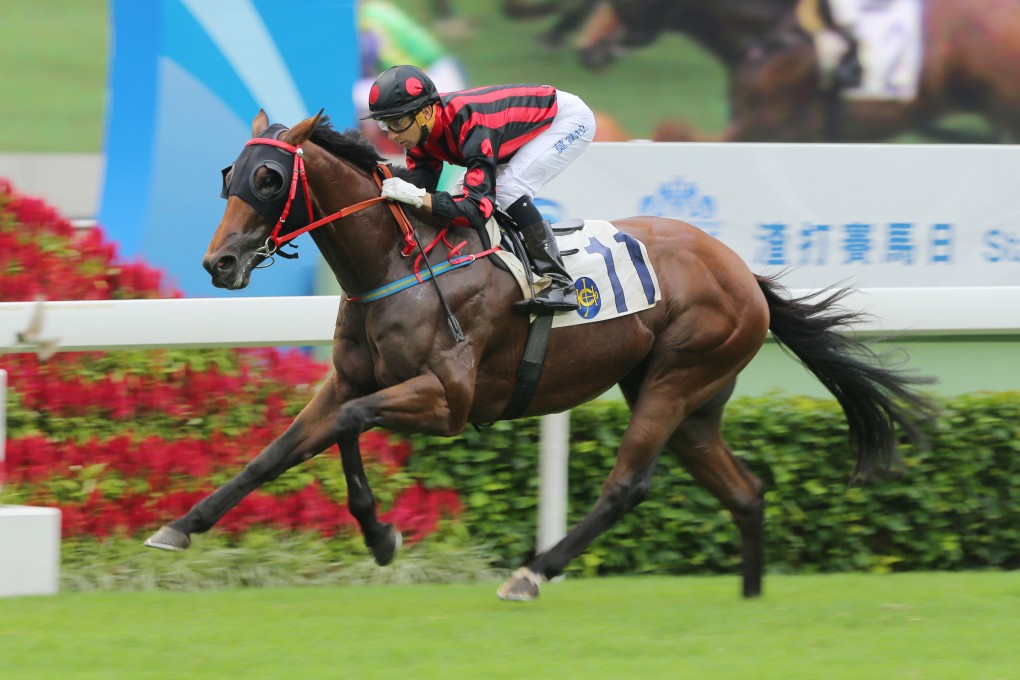Thewizardofoz strides away for an effortless win in Class Three on Sunday, one of the few sons of Redoute's Choice to perform in Hong Kong. Photo: Kenneth Chan