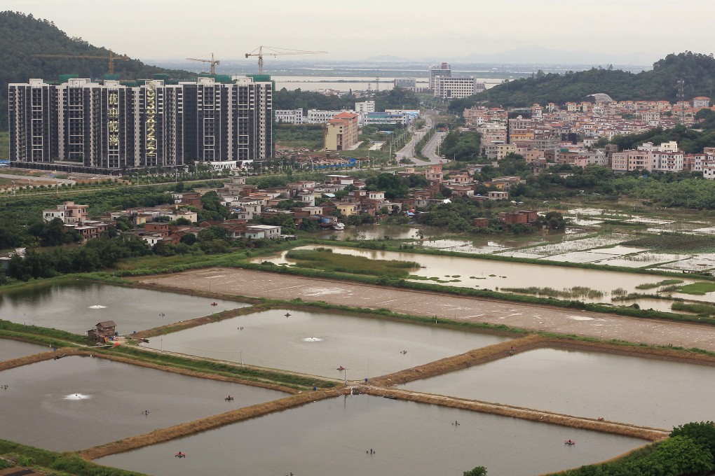 Residential towers and farms are intermixed in China's Pearl River Delta, where scores of mistresses and second wives of Hong Kong businessmen have raised their children. Photo: May Tse