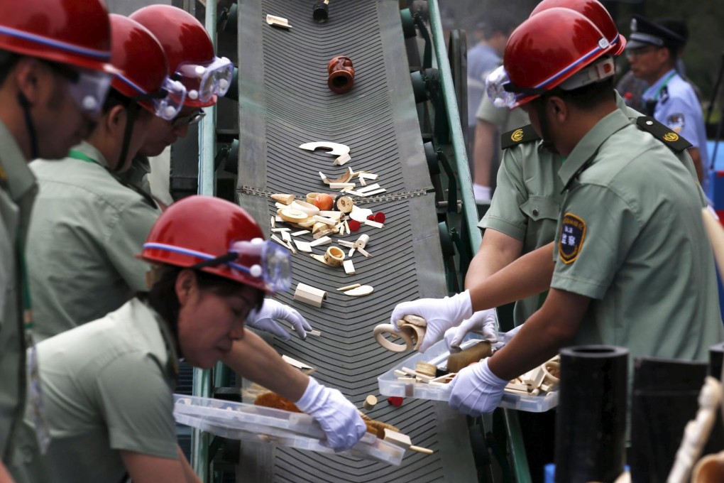 Officials place ivory products on a conveyor belt to be crushed. Photo: Reuters