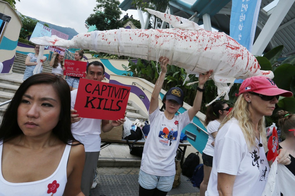 Protesters against using dolphins and other cetaceans in live shows for commercial purposes hold signs and a bloodied dolphin dummy at Ocean Park. Photo: Jonathan Wong