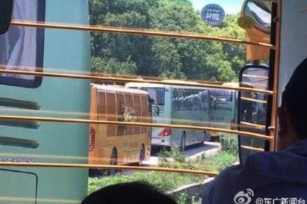 Buses wait to exit the wildlife section of the park in Shanghai. Photo: SCMP Pictures