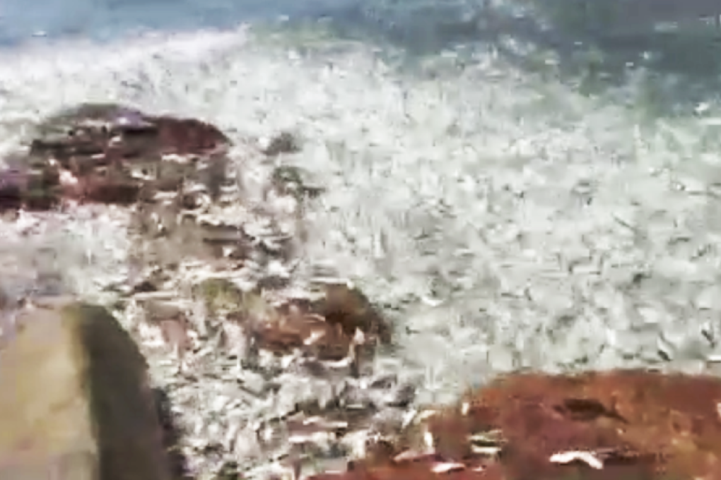 A screen grab from the video. Photo: SCMP Pictures