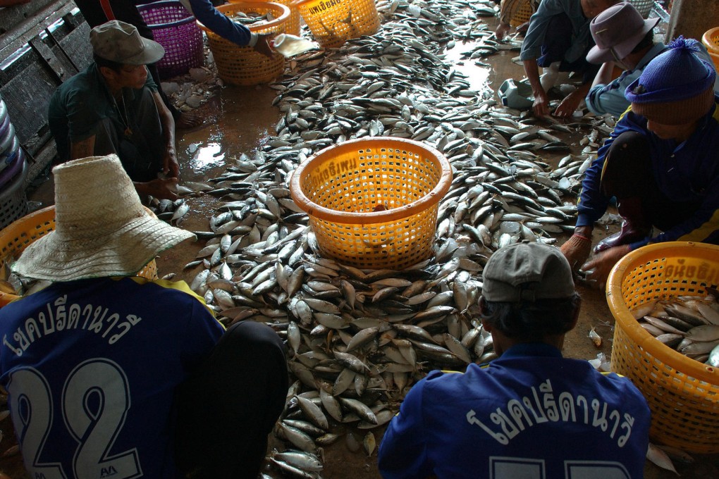 Local and migrant workers sort fish at a port in Samut Sakhon, Thailand. Photo: AP