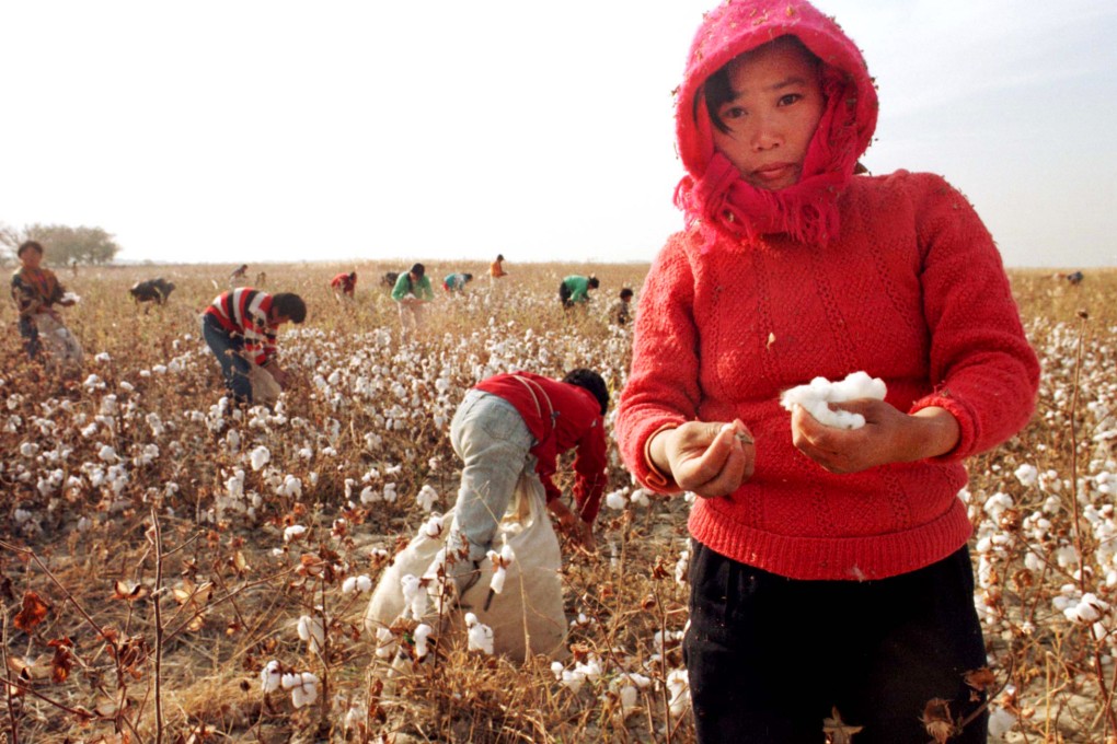 Migrant workers pick the cotton crop in Xinjiang as China said it will sell down its massive stockpile of cotton. Photo: AP