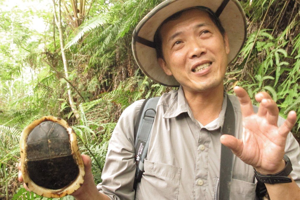 Chen Tien-hsi, a professor at the Institute of Wildlife Conservation of National Pingtung University of Science and Technology, holds a yellow-margined box turtle at a turtle sanctuary in New Taipei City in Taiwan. Photo: Kyodo