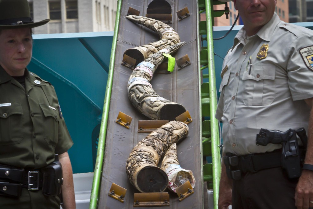 The illegal ivory was placed on a conveyor belt to a crusher.Photo: AP