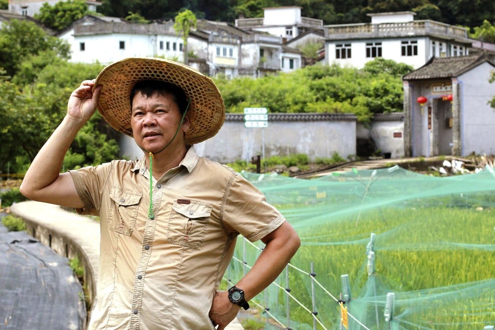 David Tsang Wai-keung, chairman of the Cultural Development Society of Lai Chi Wo Hong Kong, in front of a thriving rice paddy in Lai Chi Wo village. Photo: May Tse