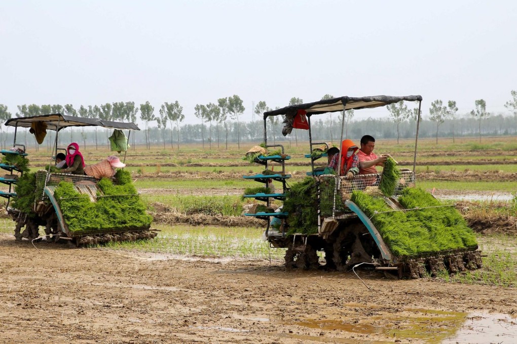 Farmers are encouraged and financially assisted to buy machines for a mechanised harvest. Photo: Xinhua