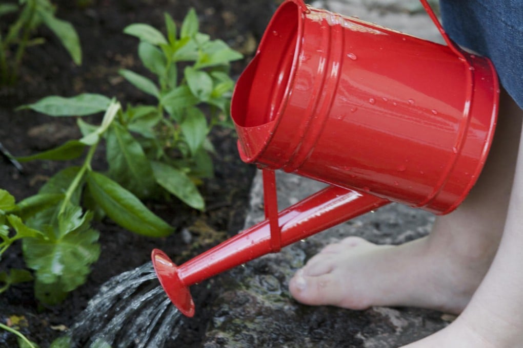 Photo: Maria Rosenlof