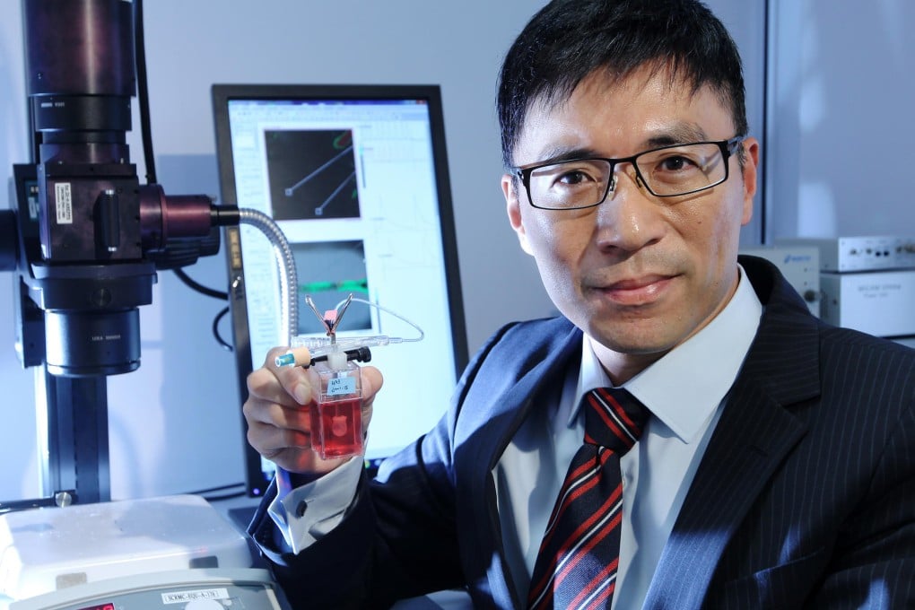 Professor Ronald Li and his team can create mini-hearts from just 2.5ml of blood.Photo: Frank Tsang