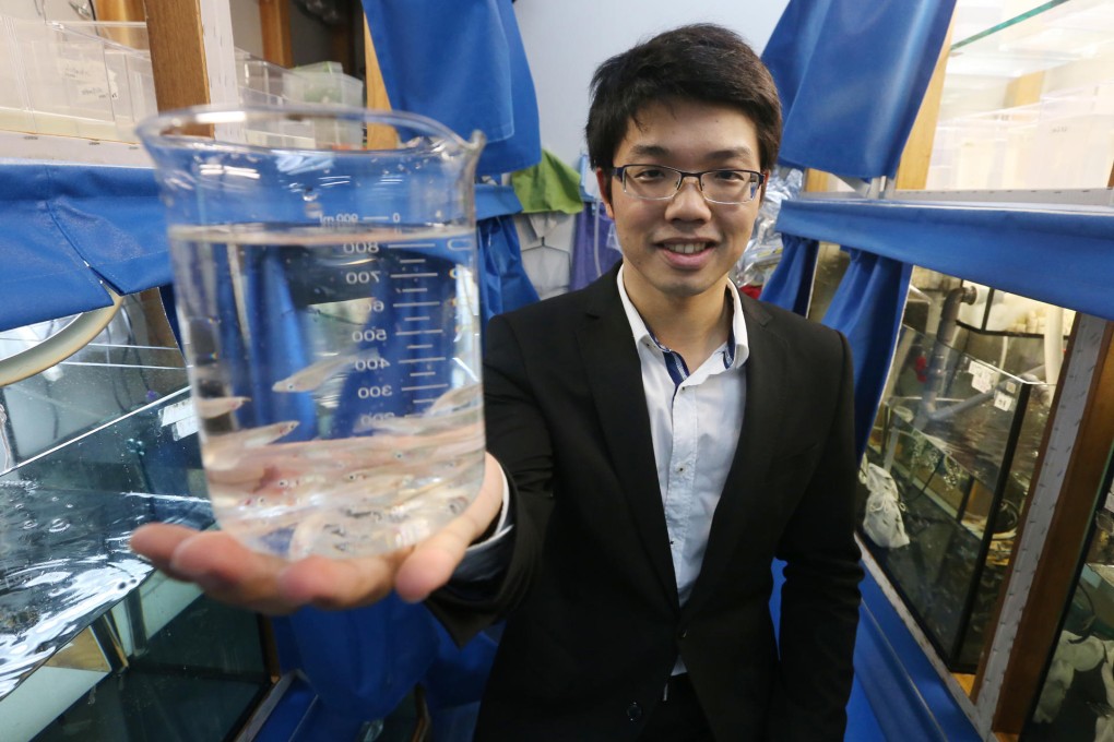 Vitargent founder Eric Chen shows off his zebrafish, which are used to test for toxins. Photo: David Wong