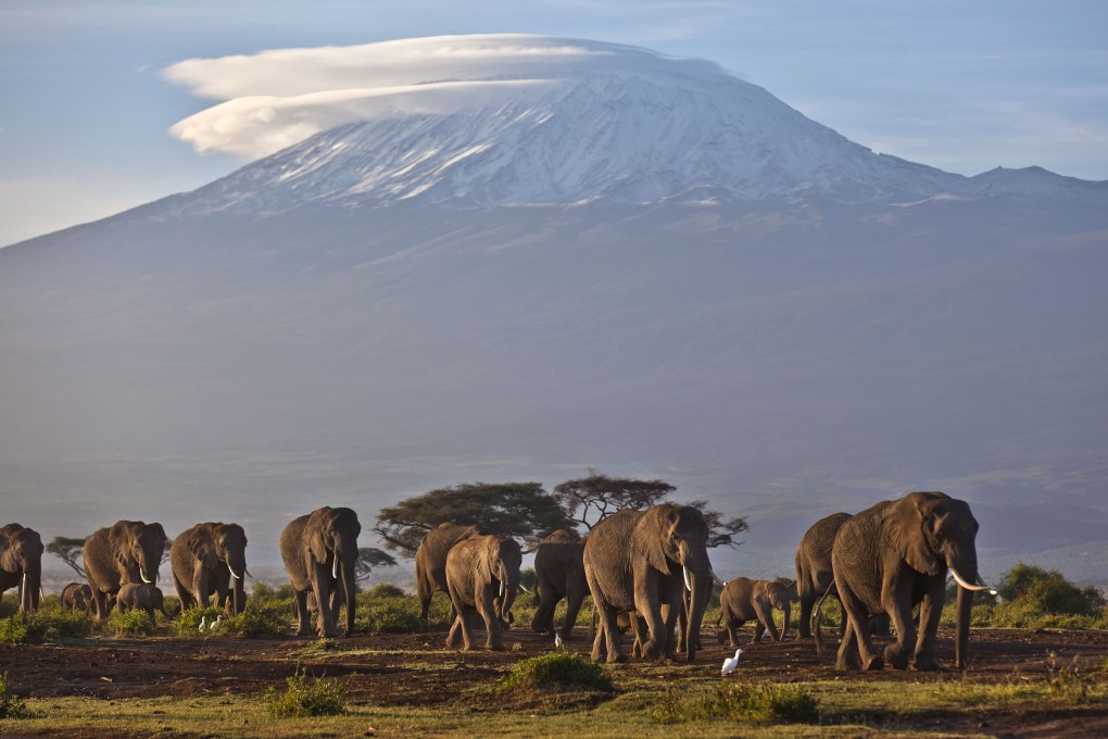 Topographical features like mountains may have helped biodiversity blossom in Kenya and other African countries. Photo: AP