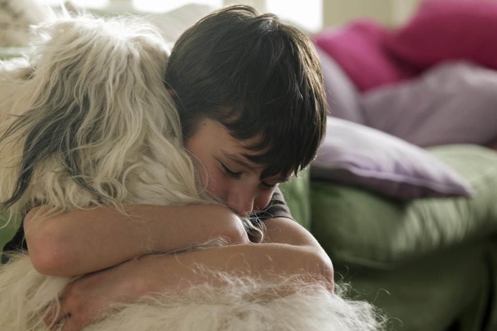 The onus is on parents to ensure their children know how to interact safely with pets. Photos: Thinkstock