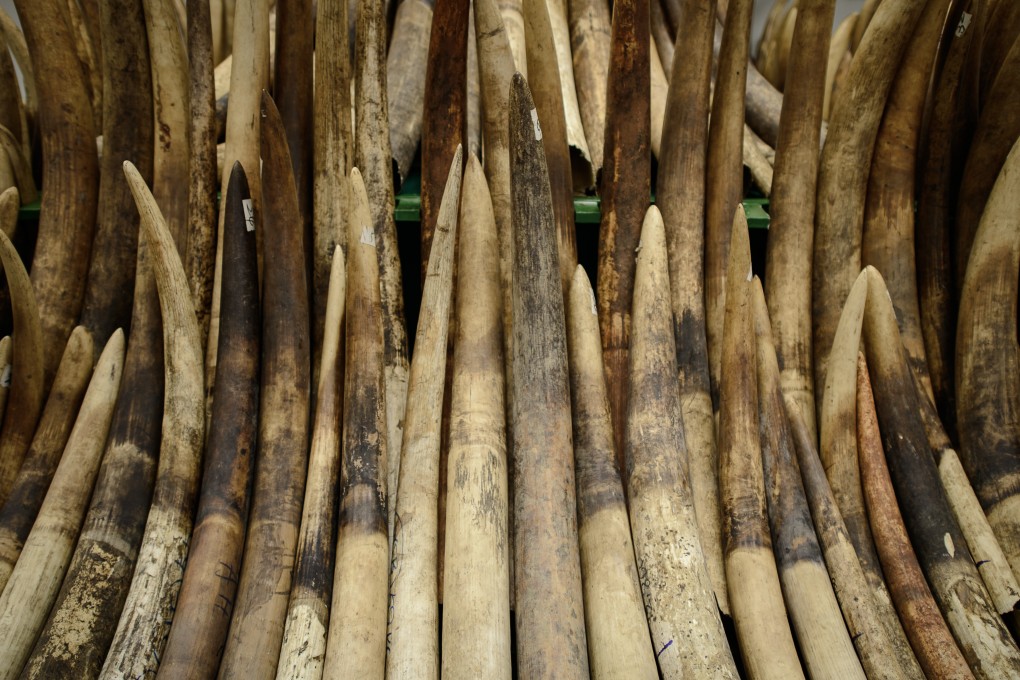 WWF set to back end to sale of ivory in Hong Kong