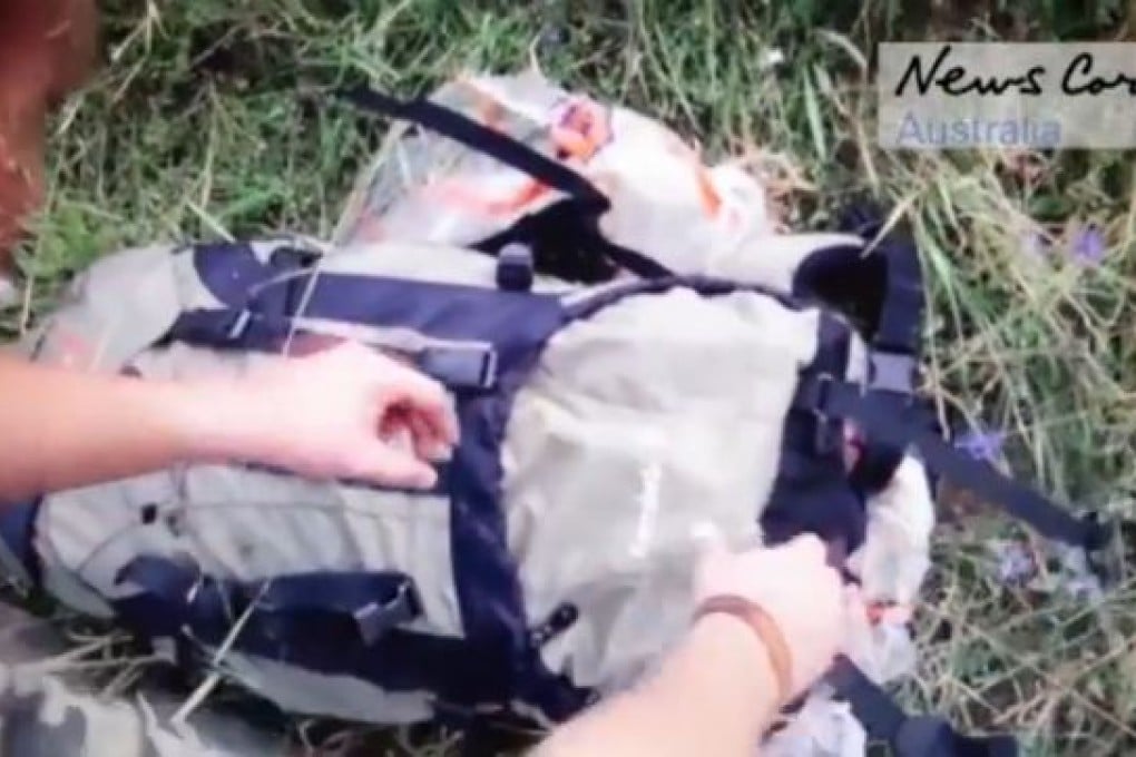 A pro-Russian Ukrainian rebel goes through luggage at the crash site of MH17 in this image from video obtained by Sydney's Daily Telegraph. Photo: News Corp