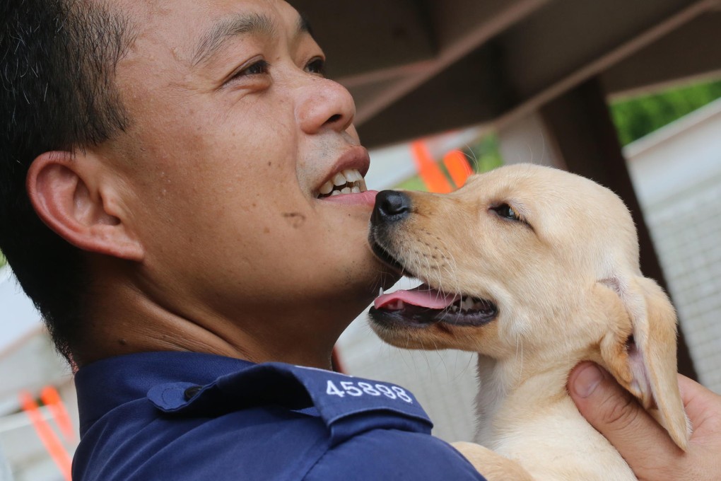 Cute, but already training to bust drug smugglers. Photo: David Wong