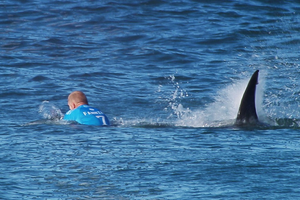 Australian surfer Mick Fanning was attacked by a shark during the final of the JBay surf Open on Sunday in Jeffreys Bay, South Africa. Photo: AFP