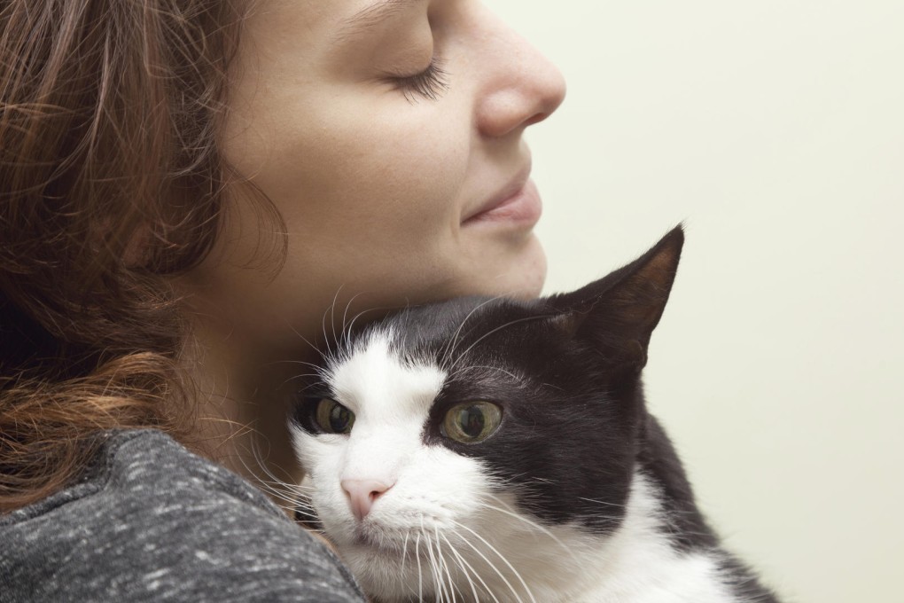 It's important for pet owners to get their animals accustomed to being handled by humans beyond petting, so that they can tolerate grooming and veterinary check-ups. Photos: Thinkstock