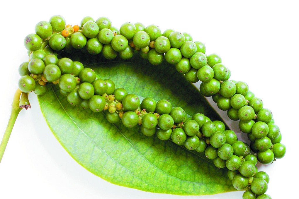 Fresh green peppercorns deliver subtle heat, and complexity