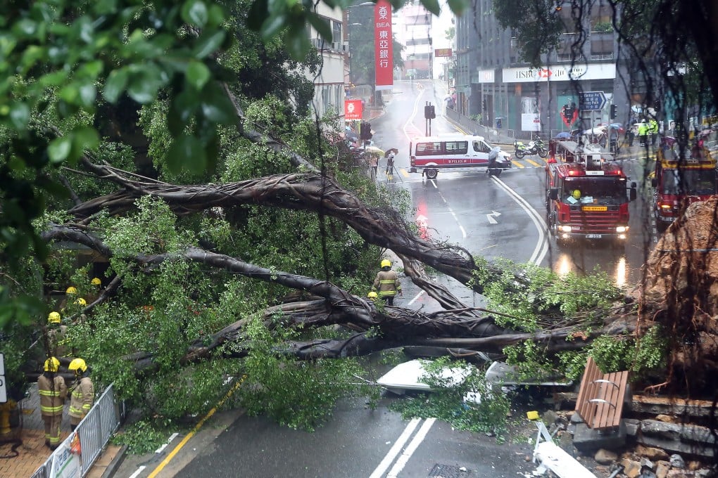 Two people were sent to hospital after a Chinese banyan tree fell on Bonham Road, Mid-Levels, the second such incident in the city in three days. Photo: Nora Tam
