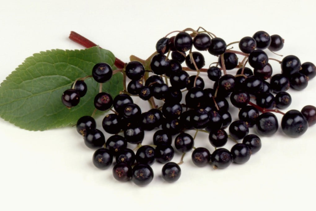 Elderberries.