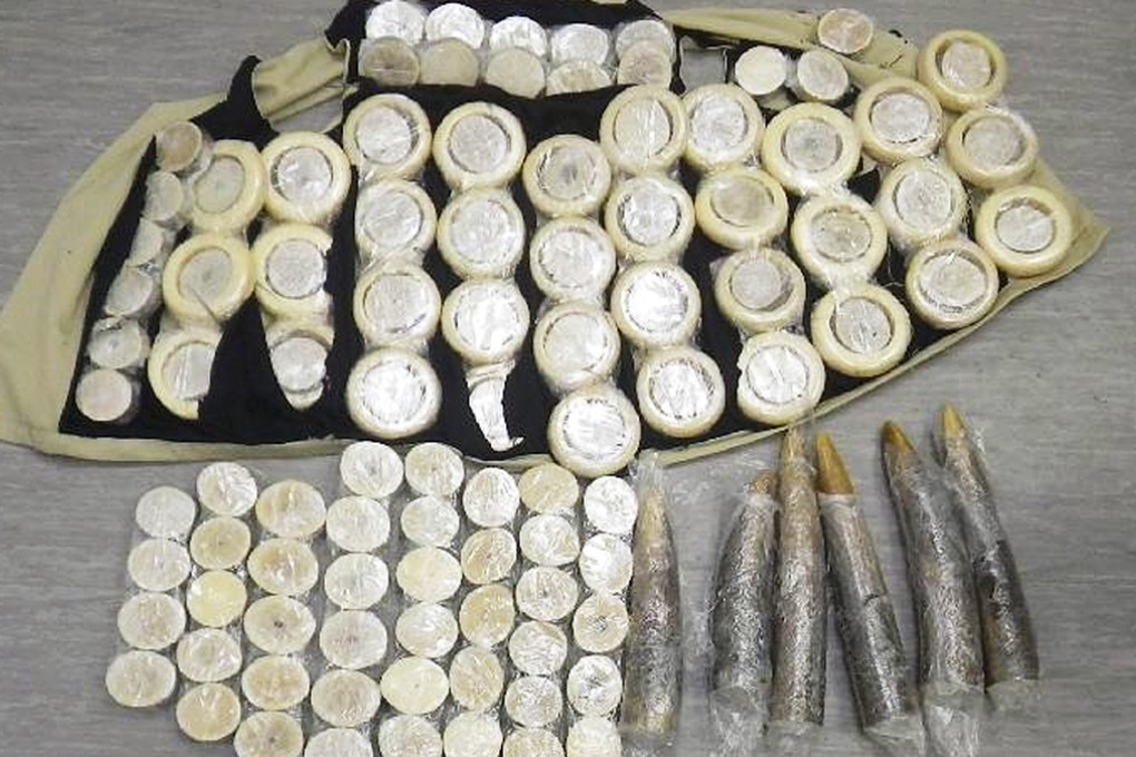 Customs officials seized 15 kilograms of suspected ivory tusks and ivory products worth HK$150,000 at Hong Kong airport. Photo: SCMP Pictures
