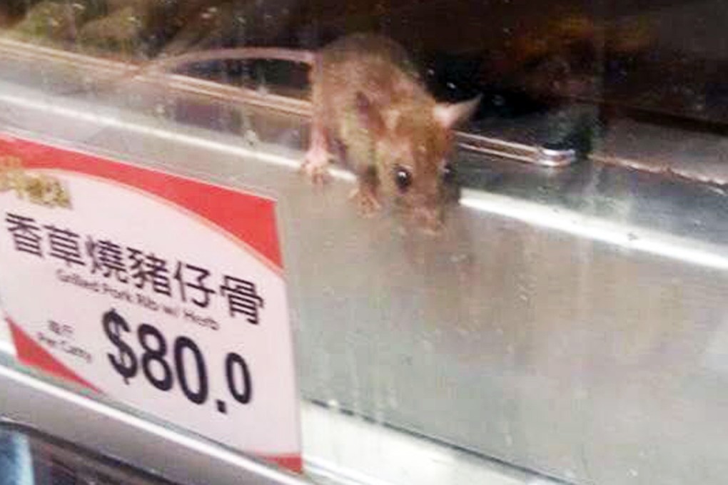 Mouse on the menu? The rodent was found by a shopper at a supermarket's cooked-food counter in Tuen Mun and a photo of it was promptly posted on social media, sparking concerns about food safety. Photo: Facebook