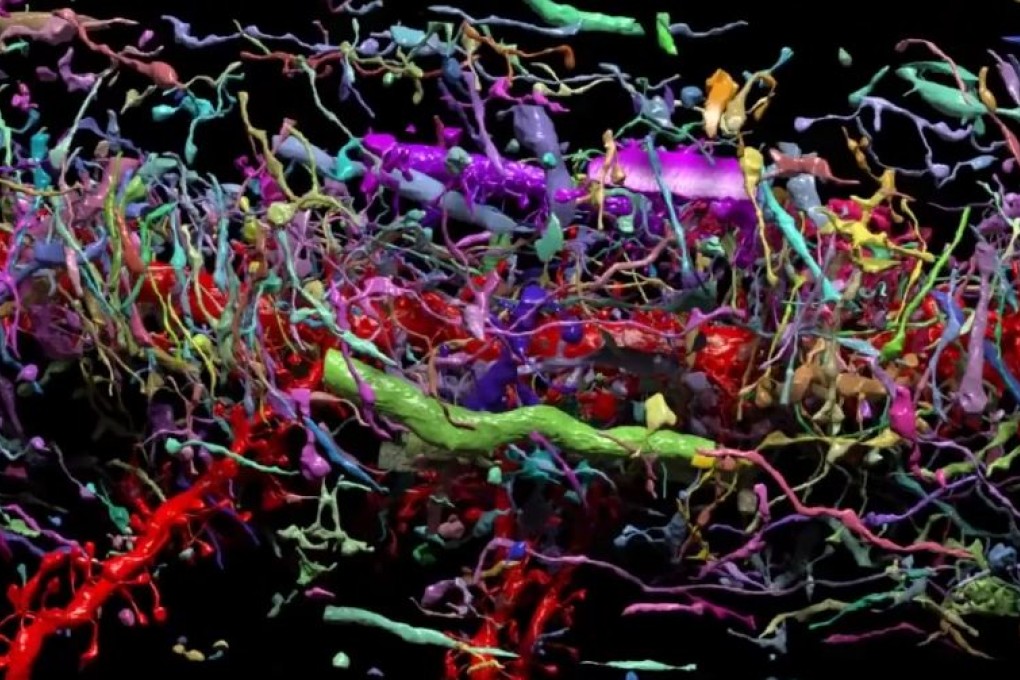 The nano-scale scan of a mouse brain, shown here in a still from 3D animation, reveals complexity and beauty. Photo: YouTube/National Geographic