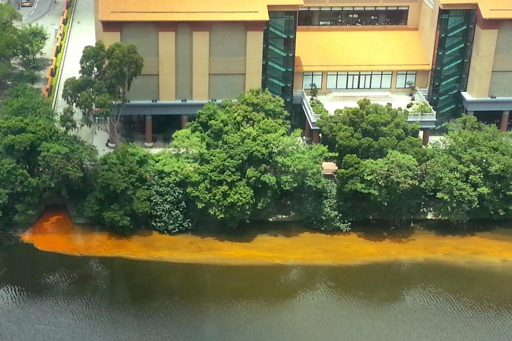 Sludge floating in the Shing Mun River.Photo: SCMP Pictures