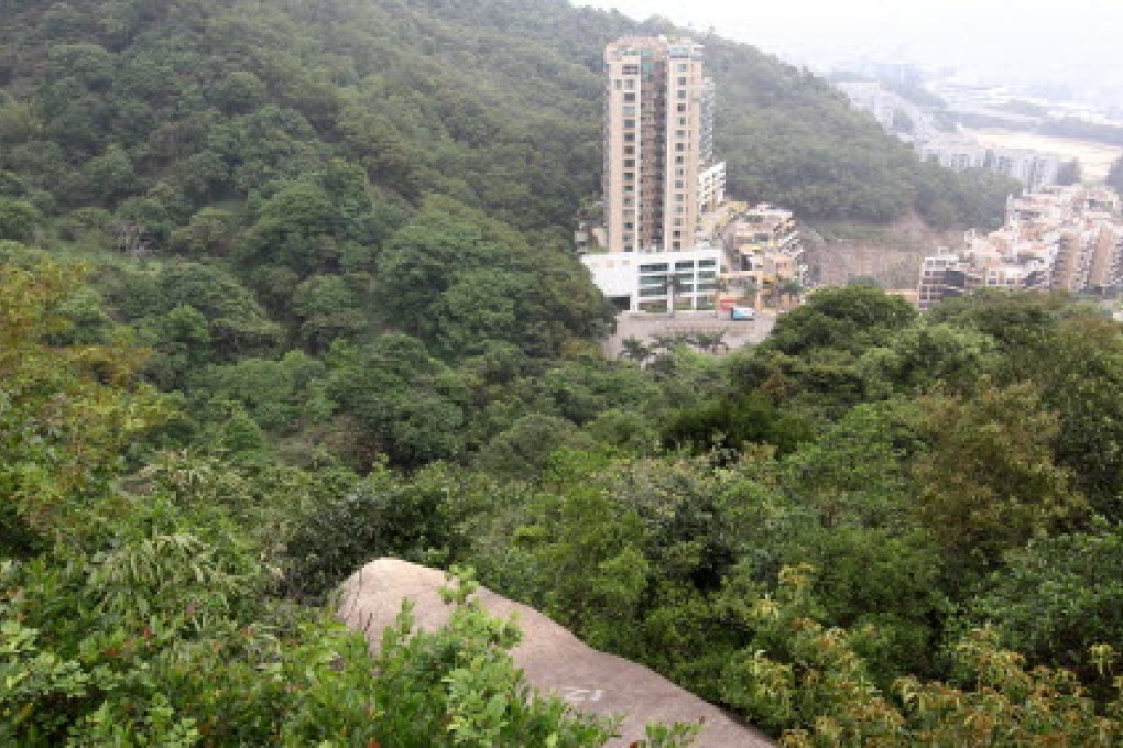Land at Tai Wo Ping had been allocated for housing. Photo: Edward Wong