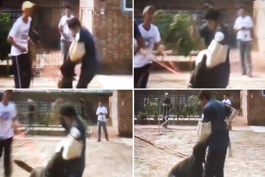 The video featuring Felix Ho Fei-yin (wearing white) has sparked outrage over his violent treatment of a dog. Photo: SCMP Pictures